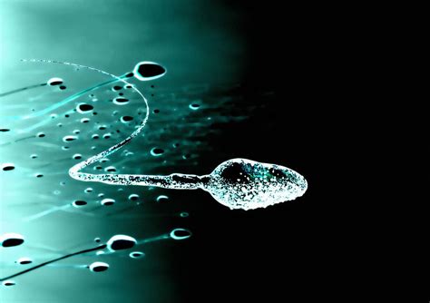 sperm cells computer artwork photograph by science photo libary