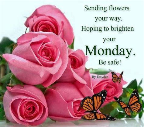 sending flowers your way hoping to brighten your monday be safe monday blessings