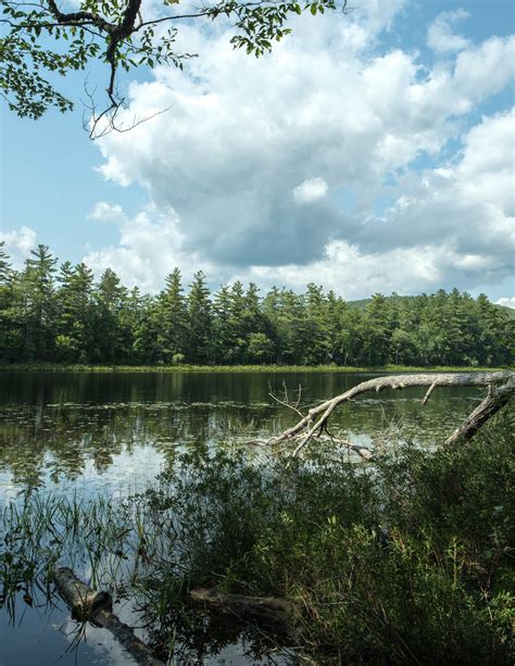 Five Kezar Ponds Waterford Maine — Matthew Richards Photography