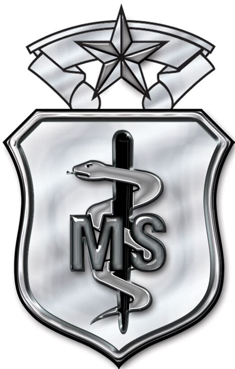 Medical Services Corps Badge Master Level