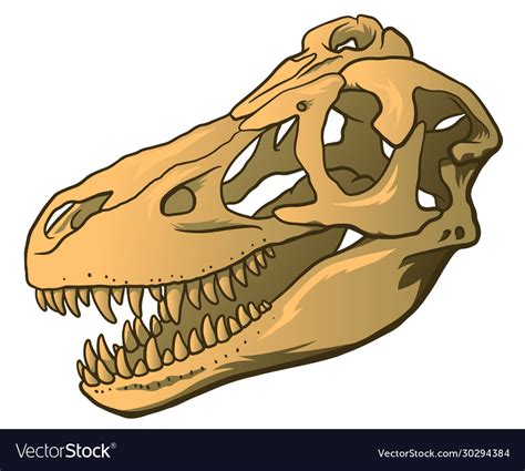 Top 109 T Rex Skull Cartoon