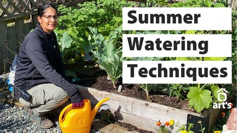 How To Summer Watering Techniques Youtube