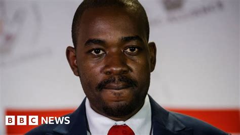 Zimbabwes Nelson Chamisa Calls Mdc Protesters Stupid Bbc News