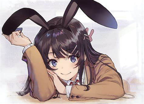 Hd Wallpaper Anime Rascal Does Not Dream Of Bunny Girl