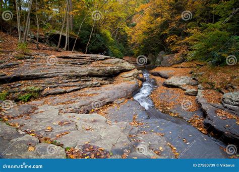 Autumn Forest Rocks Creek In The Woods Stock Image Image Of River