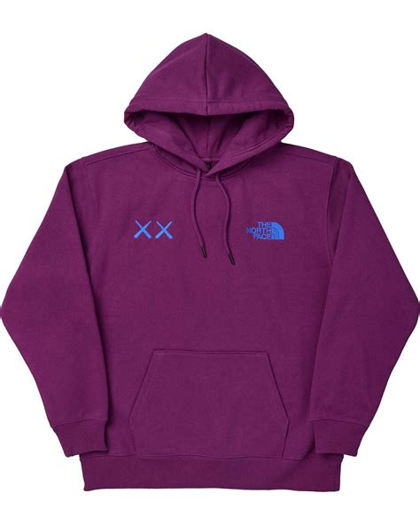 The North Face Xx Kaws Pullover Hoodie Outr