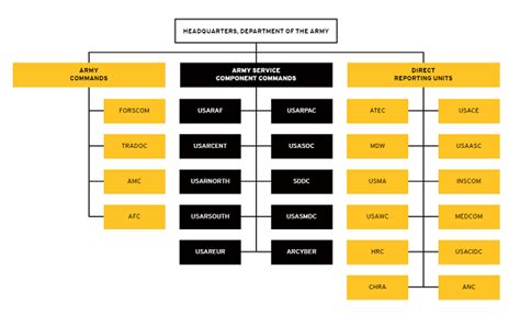 Us Army Chain Of Command For 2021 Organization And Structure