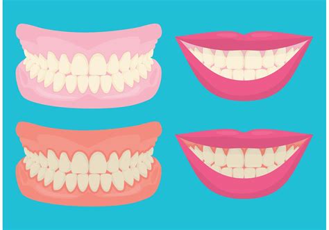 Teeth And Gums Smiling 85964 Vector Art At Vecteezy