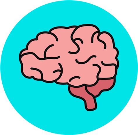 Human Brain Clipart Picture Human Brain  Png Icon Image Images