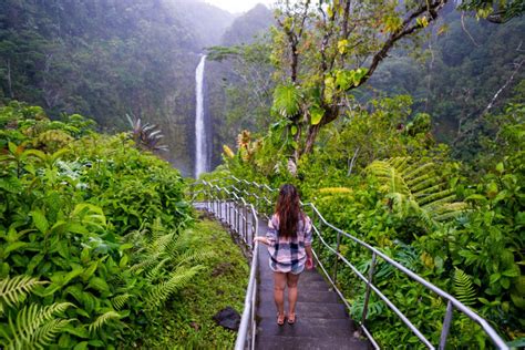 Akaka Falls Hike Big Island Hawaii That Adventure Life