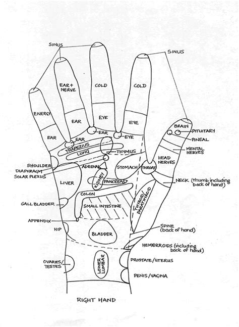 Hand Reflexology Hand Reflexology Reflexology Massage Therapy