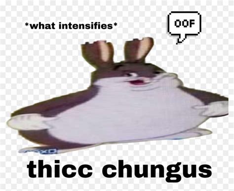 Know Your Meme Big Chungus Local Search Denver Post