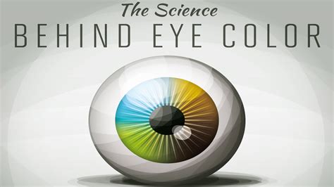 Scientific Explanation Behind The Color Of Your Eyes Infographic