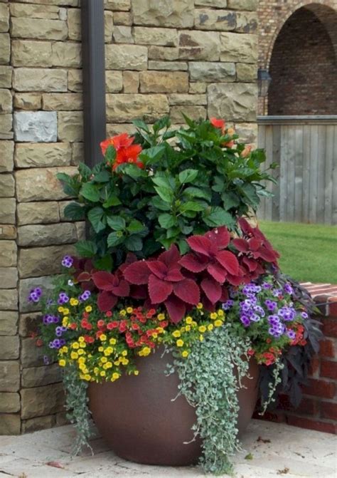 Container Pots Flowers Ideas Container Gardening Flowers Large