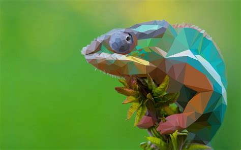 12 Low Poly Animal Wallpapers