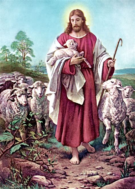 Good Shepherd Painting By Bernhard Plockhorst Diocesan