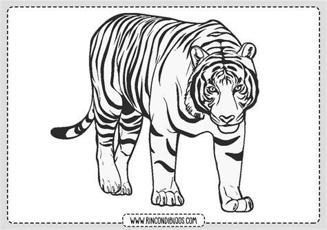 Arriba Imagen Dibujos Faciles Tigre Thptletrongtan Edu Vn