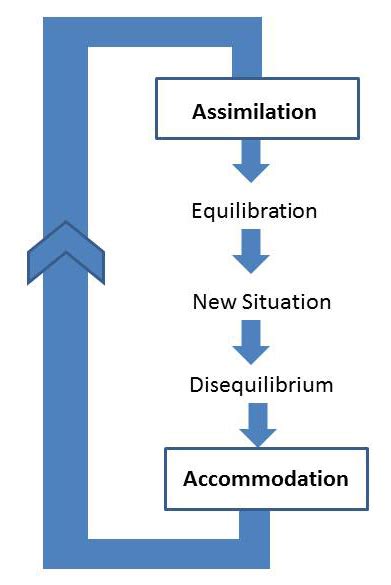 Pin On Piaget Schemas Assimilation And Accommodation
