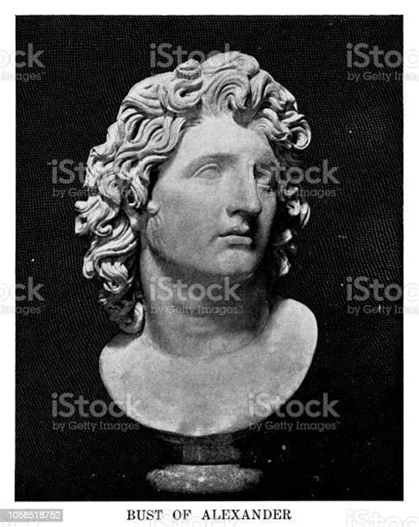 Bust Of Alexander The Great Stock Illustration Download Image Now