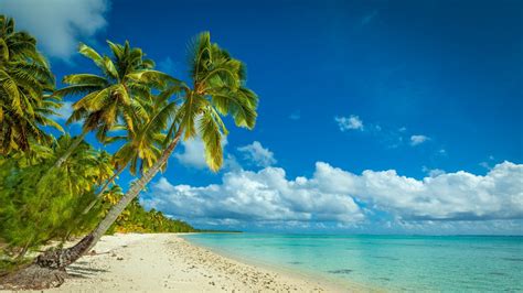 Nature Landscape Beach Sea Island Palm Trees Tropical Clouds White Sand Summer
