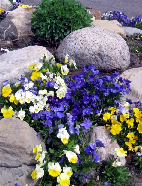 The logs are surrounded by small white stones that give the garden a playful path. Landscaping with stone - 21 ideas for garden decorations ...