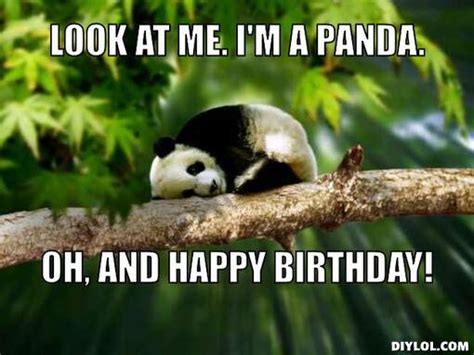 Panda Funny Birthday Quotes Quotesgram