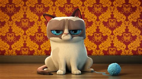 Grumpy Cat Movie Youtube