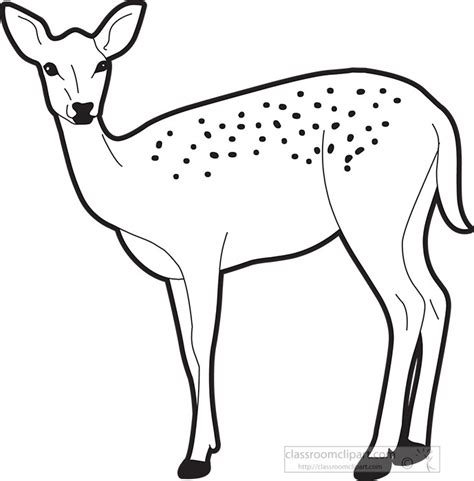 Deer Outline Images Clipart
