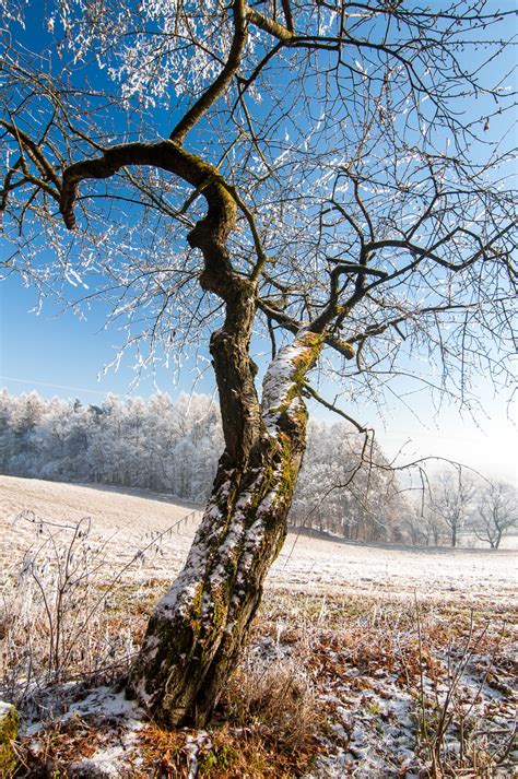 How To Photograph Winter Landscapes Photography Life