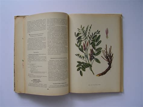Book Botany Flowers Vintage Illustrated Botanical Book Etsy