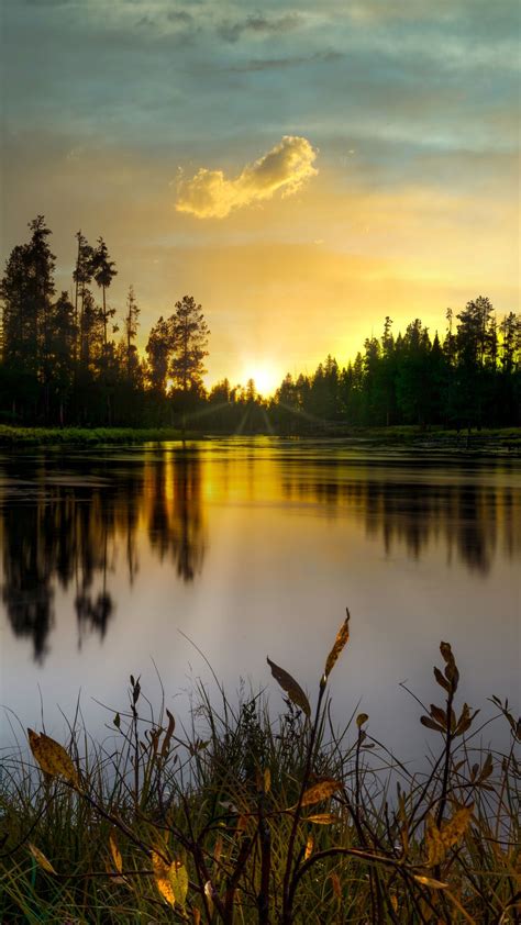 Evening Lake Trees Sunset Dusk Landscape Download Wallpapers
