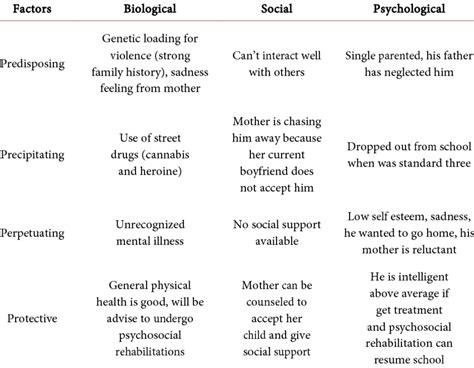 Biopsychosocial Model Table