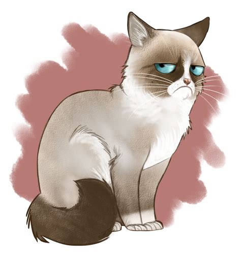 Grumpy Cat Drawing Blank Template Imgflip