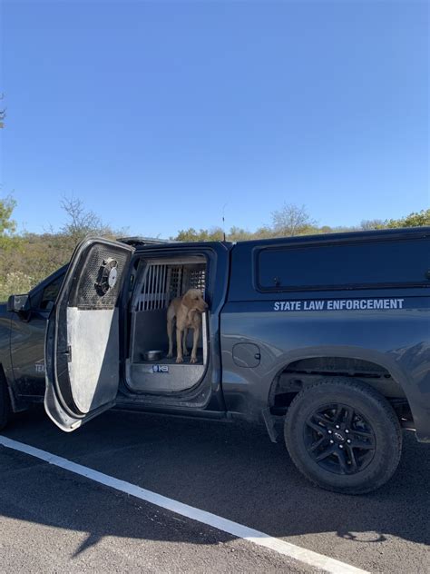 Meet Texas Game Warden K 9 Lola Gear Up For Game Wardens