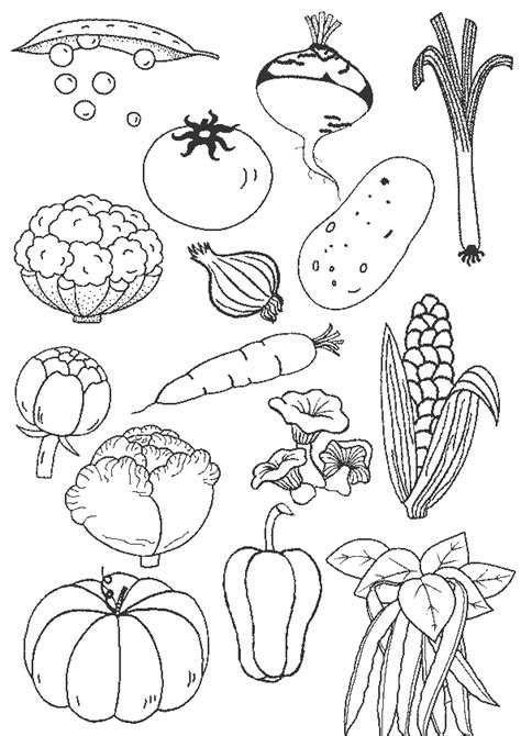 57 Dibujos De Verduras Para Colorear Oh Kids Page 5