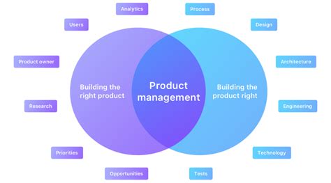 Managing A Product Development Project From Start To Finish