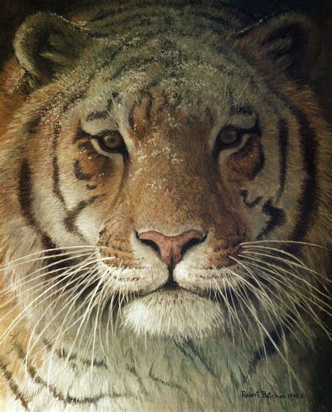 17 Best Images About Robert Bateman Wildlife Artist On Pinterest