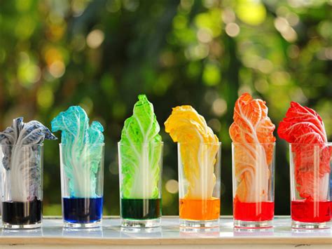 Shop for organic hair dye brands online at target. What Vegetable Dye Can Do To Your Hair? - Boldsky.com