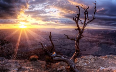 Design your everyday with removable phoenix arizona wallpaper you will love. Phoenix Arizona Wallpapers (63+ images)