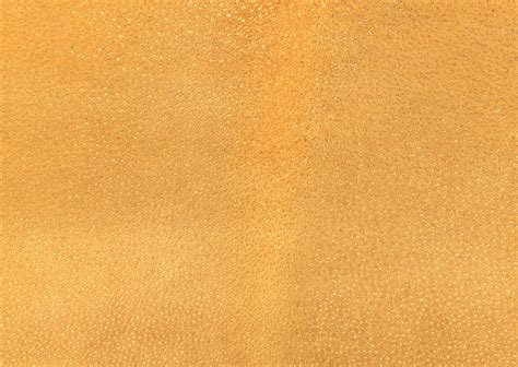 Leather Big Textures Background Image Free Picture Leather Download