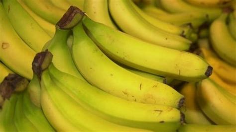 Banana Prices Unsustainable Caribbean Farmers Say Bbc News