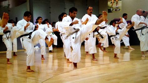 Japan Shotokan Karate Association Karate Choices