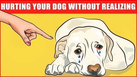 14 Ways You Are Hurting Your Dog Without Realizing It Youtube