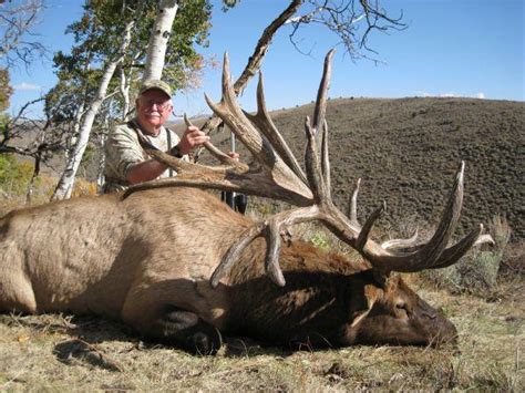 A Giant Of An Elk Taken In Utah Breaks Record With Its
