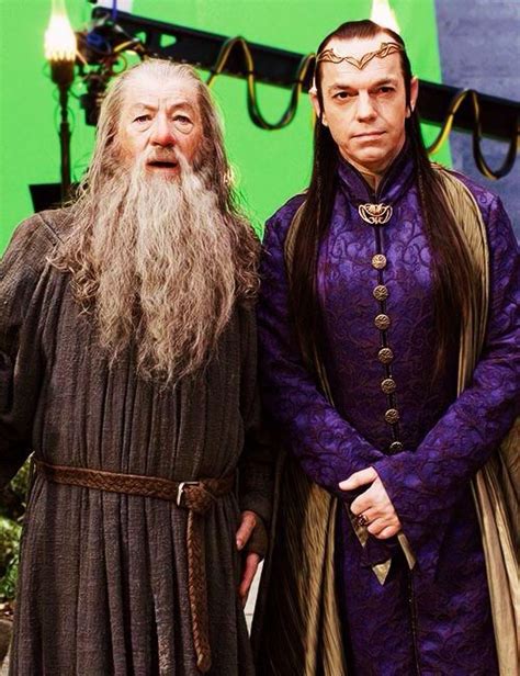 Gandalf The Grey And Elrond The Hobbit Lord Of The Rings The Hobbit