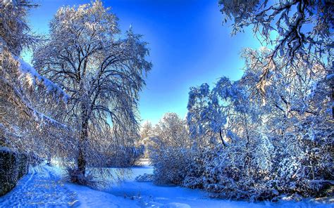 Beautiful Winter Snow Wallpaper 2560x1600 26925