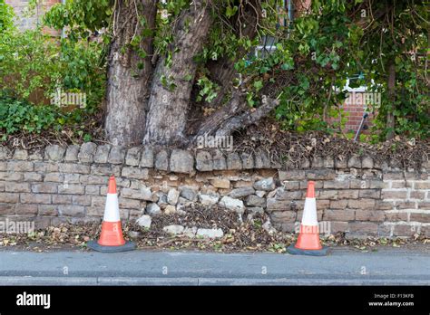 Collapsed Stone Wall Due To The Growth Of A Tree Nottinghamshire England UK Stock Photo Alamy