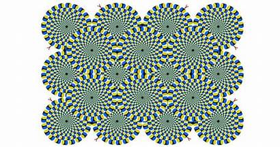 Optical Illusions Amazing Illusion Brain Rack