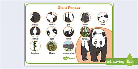 The Giant Panda Word Mat Ks1 Teacher Made Twinkl