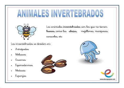 Animales Invertebrados